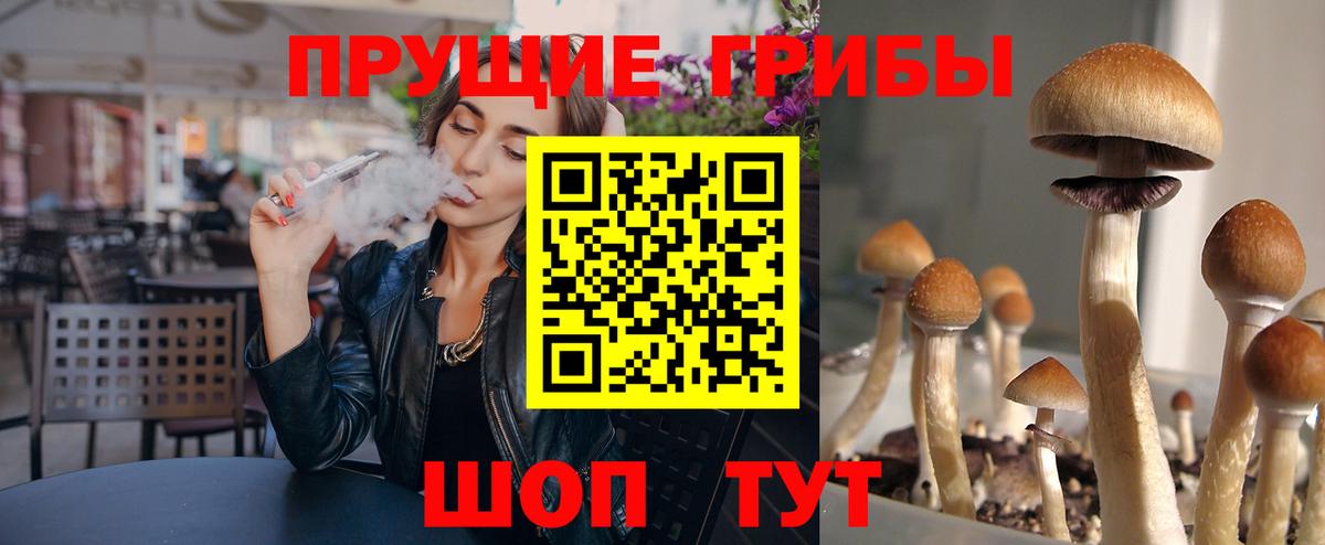 Галлюциногенные грибы Psilocybe Гагарин
